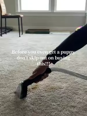 Truly a carpet SAVER omg I’m so happy we got this #fyp #puppy #CleanTok #cleaning #carpet 