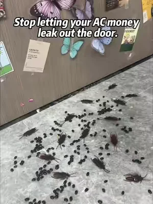 Stop cooling the neighborhood, bro! 🥵 
 Lock the AC in and keep bugs out with this weather stripping. 
 Dummy-proof 2-minute install. 
 Flash sale + FREE shipping right now! Grab yours below 👇🛒 
 #homehacks #weatherstripping #savingmoney #dadhacks #diyhome