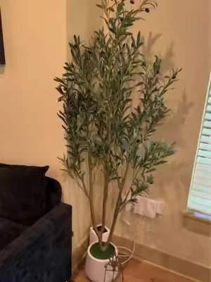 spruce up any space with a realistic olive tree #olivetree #olivetreedecor #livingroomdecor 
