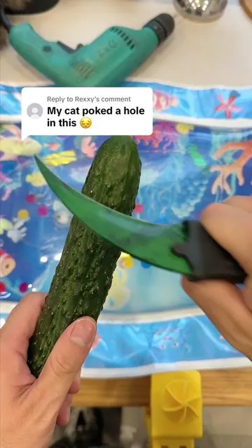 Replying to @Rexxy I tried so hard to puncture this… and I honestly couldn’t.#catpick #petcoolingmat #coolingmat ##catsummer 