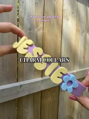 Every pup deserves a collar that’s as cute as they are. 🐶✨  These waterproof collars are made for everyday adventures, and the personalized charms are the sweetest finishing touch! Durable, easy to clean, and so many fun colors to choose from I’m obsessed! 💗🐾 #DogMom #DogCollar #springlandpets #PetAccessories #WaterproofDogCollar         