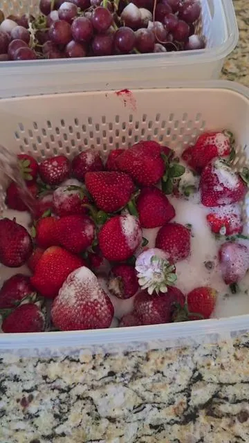 if you have been wondering why your produce keeps going bad so fast this is what everyone has been switching to and it genuinely makes a difference in how long your fruit and vegetables last in the fridge. the MIESOO fruit and produce containers have a built in removable colander that keeps your fruit elevated and out of any moisture that collects at the bottom — sitting in water is one of the main reasons berries and produce go bad so quickly and this design eliminates that problem entirely. the colander also doubles as a washing basket so you can rinse your fruit directly in the container, drain it, and stack the lid right back on without transferring anything to a separate bowl and creating more dishes. airtight lids keep everything sealed and fresh, BPA free so there are no material concerns, and they are stackable so they actually fit neatly in your fridge without taking over the whole shelf. fruit storage containers, produce containers for fridge, berry storage containers, stackable fridge containers, airtight produce storage, colander fruit containers, how to keep fruit fresh longer, vegetable storage containers — this is the fridge organization upgrade that actually extends how long your groceries last and saves you from throwing out produce you just bought. #ProduceStorage #FridgeOrganization #FruitStorage #FoodStorage #kitchenessentials @MIESOO 