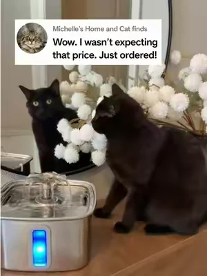 Such a great price on this fully stainless steel Cat water fountain. #catwaterfountain #catsoftiktok #catlover #catowner #dealsforyoudays 