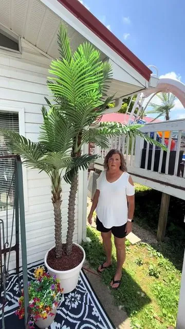 #palm #tree #beautiful #outdoors #fyp 