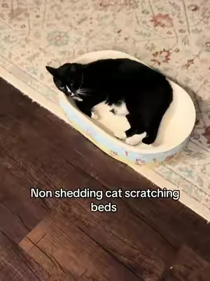 If you don’t have one of these for your cats, your missing out, honestly 🤣 #cats #catproducts #catmusthaves #catscratcher #catbed 