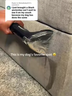 Replying to @MekaBabyG12 I went with the Bissell Littke Green Machine Mini and I was blown away by all the dirt it picks up 😳 @BISSELL Clean 🧼  #Bissell #bissellpartner #Dogmoms #petparents 