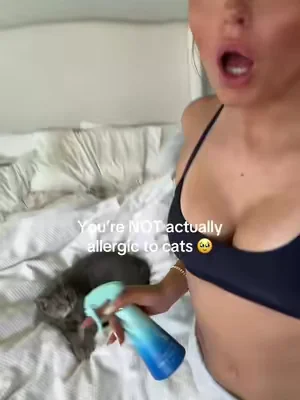 The best way to stop allergies 
