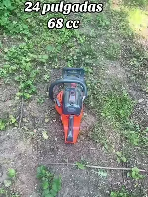 7658055688245054733