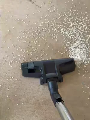 🧹✨ Esta aspiradora de tanque cambió por completo la forma en que limpio la casa. 🤍 Tiene muchísima potencia, es ligera, fácil de mover y funciona perfecto en pisos, alfombras y hasta para recoger pelo de mascotas. Además, el cable se recoge automáticamente y trae accesorios para limpiar hasta los rincones más difíciles. 🙌✨ Ideal para limpieza profunda del hogar, pisos, alfombras, muebles y espacios difíciles de alcanzar. 💙 ✨ canister vacuum ✨ bagless vacuum cleaner ✨ powerful vacuum cleaner ✨ lightweight vacuum ✨ home cleaning ✨ carpet cleaner ✨ hardwood floor vacuum ✨ pet hair vacuum ✨ cleaning hacks ✨ home essentials ✨ deep cleaning ✨ household cleaning ✨ vacuum for carpets ✨ vacuum for hard floors 🧹 De esas compras que hacen que limpiar la casa sea mucho más rápido y menos pesado. 🤍✨ #tiktokshopcreatorpicks #vacuumcleaner #homecleaning #cleaninghacks #homeessentials