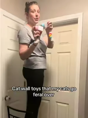 Always supervise your cats when they play with this toy, but if you have bored cats, you need to check out this toy 🤣 #cats #cattoy #interactivecattoy #boredcat #catenrichment 