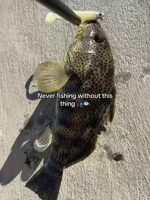 This is a lifesaver#blowthisup #summervibes #tiktokshop #fyp #fishing 