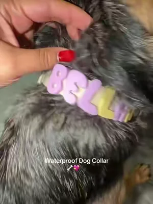 7658146216219282718