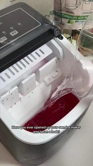 If you find slime or white crust inside your ice maker, stop drinking that ice immediately! That’s a breeding ground for  mold&bacteria buildup.🤮#icemaker #icemakercleaning #icemachinecleaner #summerwins #dealsforyoudays 