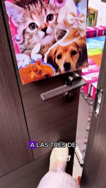 Esta pastilla limpiadora para inodoro mantiene tu baño impecable. Solo colócala en el tanque y deja que haga el trabajo. ¡Super fâcil! #limpiadorparainodoro #esencialesdelhogar #trucosdelimpieza #TikTokShopBlackFriday #TrucosPara ElBaño