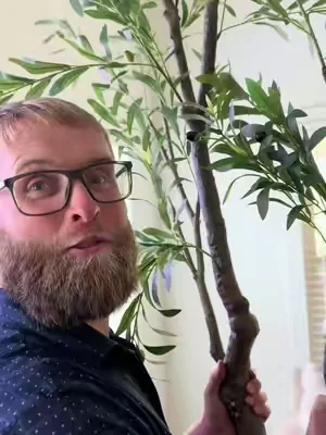 He’s so proud of his decor find and so am I! #olivetree #fauxolivetree 
