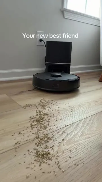 Every crumb: GONE. I set this vacuum to clean before I go to bed and wake up to a clean house✨ #vaccuum #cleaninghack #robotvaccuum 