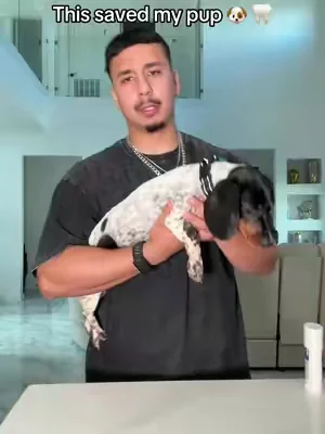 #dogsoftiktok #dogowners #plaque #dogownerproblems 