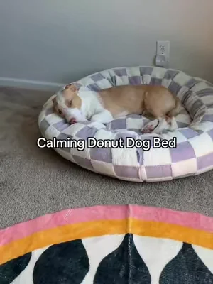 My dogs looove their donut dog beds 🥰 #dogsoftiktok #dogbed #dogmom #dealsforyoudays #tiktokshopcreatorpicks 