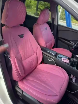 #caracessories #fundadecarro #ninsanrougue #ninsanrougue2023 #pinkcar 