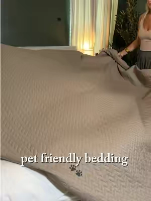 this quilt is a 10/10 for pet homes 🐾🏠 #petfriendlyhome #petfriendlybedding #CapCut 