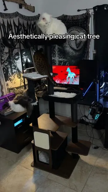 Aesthetically pleasing cat tree #catsoftiktok #cattree 