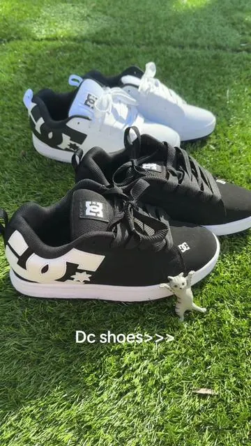 Gonna wear these shoes everyday at school LOL #dcshoes #tiktokshop #tiktokmademebuyit #backtoschool #y2k @Tillys @oobygooby 