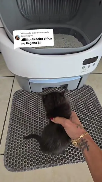 Respuesta a @jenyshop96  Warcat Automático de Nueva Generación Arenero para gatos de tapa abierta, autolimpiante y simplificado, con sensores de seguridad confiables, sin aplicación Diseño para un uso fácil #warcatpro #arenero #gatos #summerVibes #dealsforyoudays @Warcat Pro 