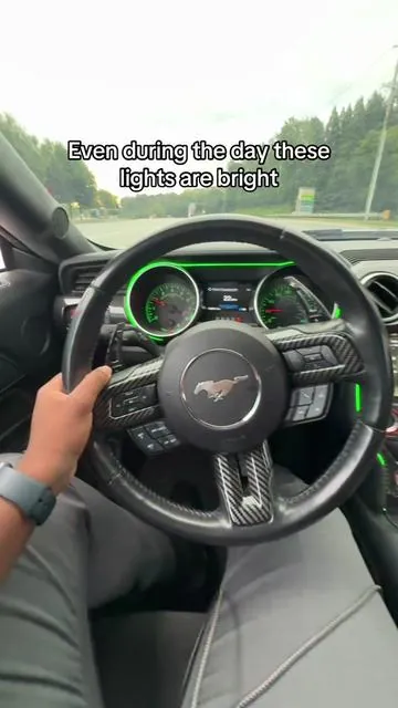7659392400531442974