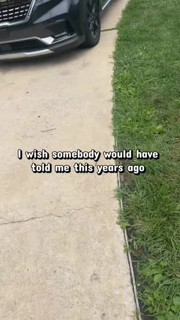 7659477999665958175