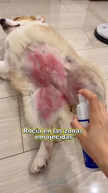 Repair lrritated skin,restores healthy coat.#DealsforYouDays #petsoftiktok #dogsoftiktok #pethealth #petcare #petlovers 