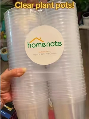 #nurserypots #plantpots #clearplantpots 