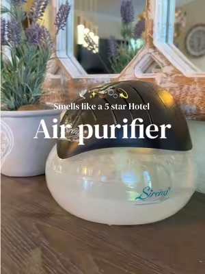 My ENTIRE house smells so GOOD!!! #CleanTok #cleanhome #cleanair #homemusthaves 