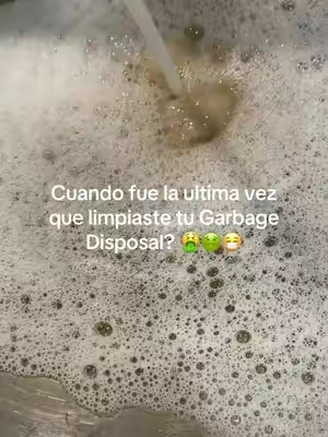 Como limpiar tu Garbage Disposal #garbagedisposal #kitchensinkcleaning 