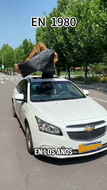Mis accesorios favoritos para el coche suelen ser los más simples.#SummerCarMustHave#CarHack#Carcarumbrella#SummerWins #DealsforYouDays