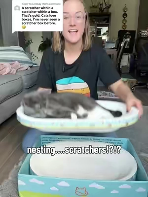 Replying to @Lindsay Hall perfectly described, love it! This is the large bundle #catscratcher #catbed #catfurniture #catparent #catlover 