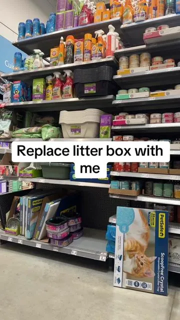 #kittycat #catsoftiktok #automaticlitterbox #litterbox #litterboxhack 