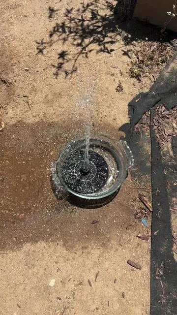 #solarfountain #birdfountain #tiktokshop 