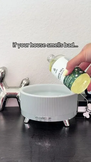 my home literally smells like a five star hotel now this smell is so clean and fresh and I love the ingredients #hotelsmell #homefragrance #whitetea #homescents #essentialoils 
