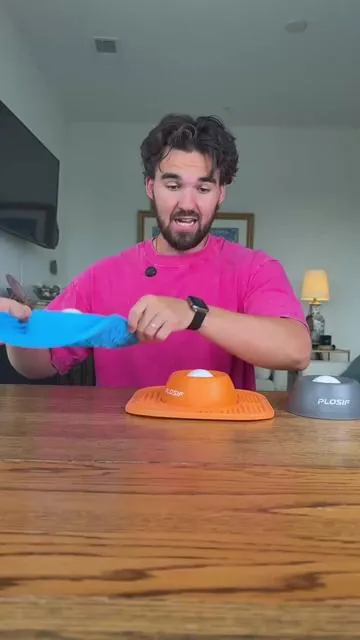 Which is better for your dog? 