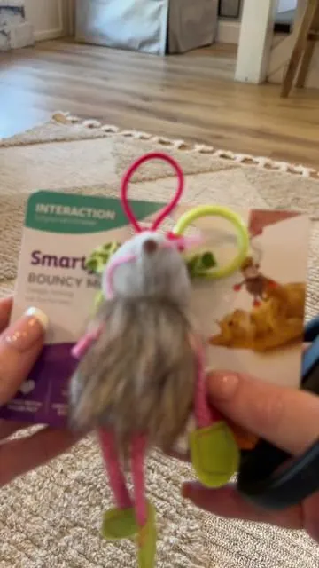 If you have a cat… you need to try these catnip toys at least ONE time 😂 come back and tell me if your cat lost their mind too 😂 #catnip #catsoftiktok #catmom #catlover #catfinds 