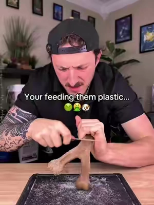 Who knew these were made out of this… #dog #dogsoftiktok #enrichmentfordogs #dogs #enrichment 