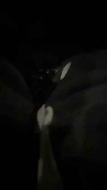 7660022395264159007