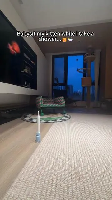 #DealsForYouDays #catsoftiktok #cattoys #tiktokmademebuyit #catmom 