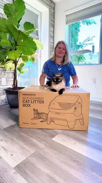 If you've been avoiding automatic litter boxes because they all seem too small, this one is worth a look.  The Meowant XXXL size gives larger cats, like my Maine Coon, so much more room, and I love the safety features, easy cleanup, and app that tracks litter box usage. It's also on sale right now, making it an even better value.  #AutomaticLitterBox #tiktokshopcreatorpicks #selfcleaninglitterbox #summerwins #cat 