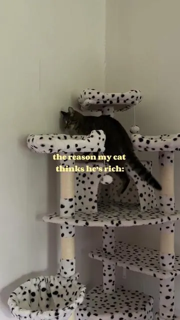 a 7 ft cat tree will have a man acting different 😫 he’s so spoiled but how could we say no #catmom #cattree #tabbycatsoftiktok #aestheticcattree #cattoys 