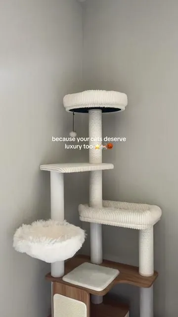 swapped our falling apart ugly green cat tree for this luxe one instead ✨ the wood is such a nice upgrade, with so many scratching options, and the neutral matches our aesthetic much better- the cats love it #fyp #cats #catsoftiktok #cattower #cattree 