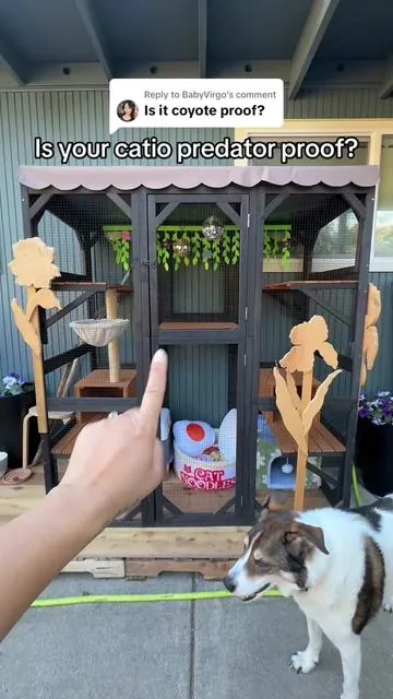 Replying to @BabyVirgo a little long but safety is important for our fur babies 🐾 @Aivituvin @aivituvincatio #tiktokshopcreatorpicks #petlover #petparent #catio #catmom 
