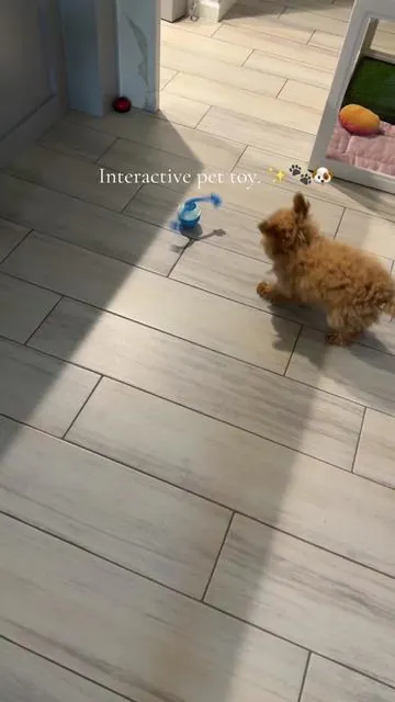 Interactive toy for your pets, perfect for puppies or dogs (big or small) 🐾🐶 #puppymusthaves #petmusthaves #PetsOfTikTok #petthings #puppyplaytime @LifeWithCocoa 