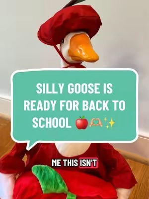 #porchgooseoutfit #porchgoose #classroomgoose #backtoschool #teacherlife 