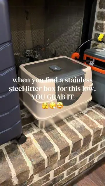 #cats #catsoftiktok #stainlesssteellitterbox 